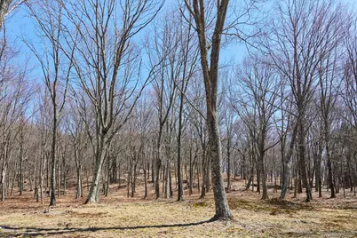 611 N Clove Road, Millbrook, NY 12545 - Photo 40