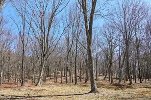 611 N Clove Rd, Millbrook, NY 12545 - Photo 40