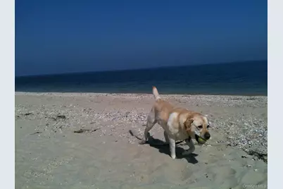 252 Asharoken Avenue, Northport, NY 11768 - Photo 22