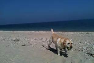 252 Asharoken Ave, Northport, NY 11768 - Photo 22