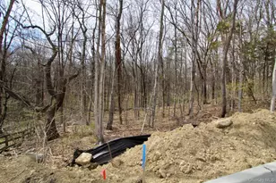 Lot 1 Lindenwood Ln, Newburgh, NY 12550 - Photo 12