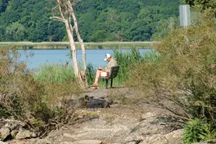 206 Gair St, Piermont, NY 10968 - Photo 32