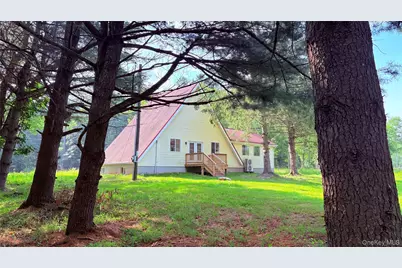 107 Pinewood Road, Cochecton Center, NY 12726 - Photo 4