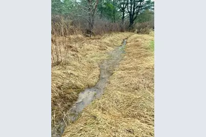 19 Tomel Road, Cochecton Center, NY 12726 - Photo 22