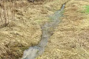 19 Tomel Rd, Cochecton Center, NY 12726 - Photo 22