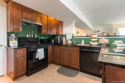 8 White Birch Way, Wappingers Falls, NY 12590 - Photo 28