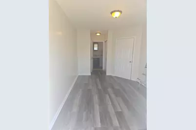 404 E 54th Street #3, Brooklyn, NY 11203 - Photo 2