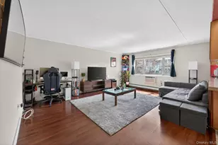 100 Clinton Ave, Mineola, NY 11501 - Photo 8