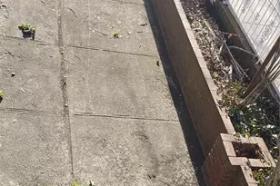 260 Swinton Ave, Bronx, NY 10465 - Photo 12