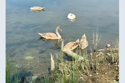 224 Centre Island Road, Centre Island, NY 11771 - Photo 36