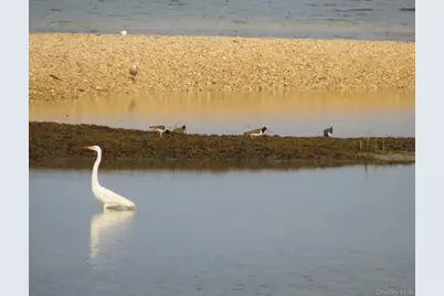 224 Centre Island Road, Centre Island, NY 11771 - Photo 32