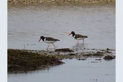 224 Centre Island Road, Centre Island, NY 11771 - Photo 34