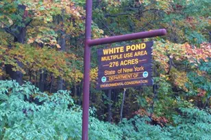 495 Farmers Mills Rd, Carmel, NY 10512 - Photo 20