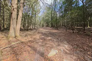 Tbd Bobwhite Trail, Mongaup Valley, NY 12762 - Photo 18