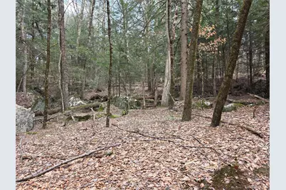 Tbd Bobwhite Trail, Mongaup Valley, NY 12762 - Photo 24