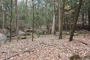 Tbd Bobwhite Trail, Mongaup Valley, NY 12762 - Photo 24