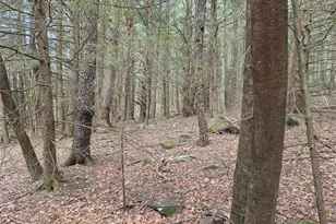 Tbd Bobwhite Trail, Mongaup Valley, NY 12762 - Photo 6