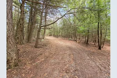 Tbd Bobwhite Trail, Mongaup Valley, NY 12762 - Photo 12