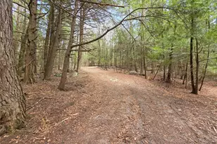 Tbd Bobwhite Trail, Mongaup Valley, NY 12762 - Photo 12