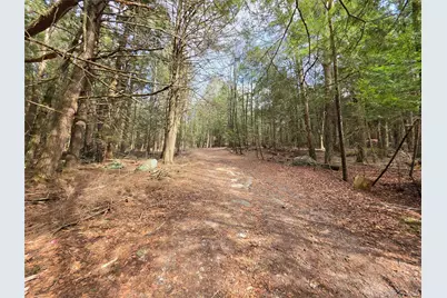 Tbd Bobwhite Trail, Mongaup Valley, NY 12762 - Photo 14