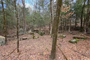 Tbd Bobwhite Trail, Mongaup Valley, NY 12762 - Photo 26