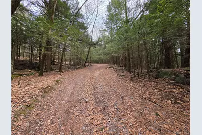 Tbd Bobwhite Trail, Mongaup Valley, NY 12762 - Photo 28