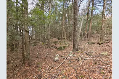 Tbd Bobwhite Trail, Mongaup Valley, NY 12762 - Photo 20