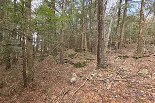 Tbd Bobwhite Trail, Mongaup Valley, NY 12762 - Photo 20