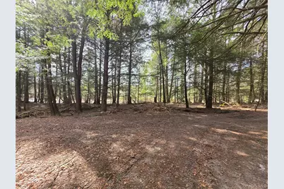 Tbd Bobwhite Trail, Mongaup Valley, NY 12762 - Photo 16