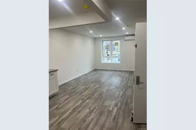 518 Thatford Avenue #2, Brooklyn, NY 11212 - Photo 8