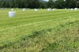 181 Huguenot St, New Paltz, NY 12561 - Photo 30