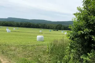 181 Huguenot St, New Paltz, NY 12561 - Photo 24