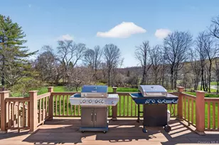 15 Rena Marie Cir, Washingtonville, NY 10992 - Photo 24