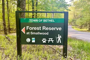 28 W Tusten Pl, Bethel, NY 12720 - Photo 34