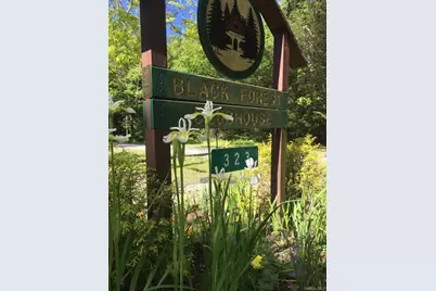 41 Upper Lumber Road, Glen Spey, NY 12737 - Photo 32