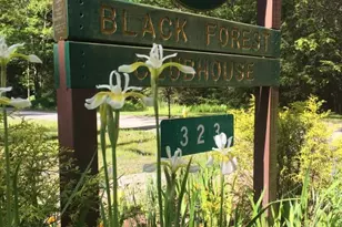 41 Upper Lumber Rd, Glen Spey, NY 12737 - Photo 32