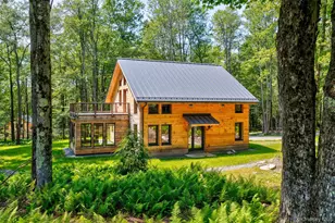 15 Mnr Fls Dr, Livingston Manor, NY 12758 - Photo 26