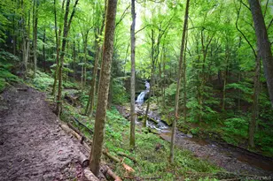 15 Mnr Fls Dr, Livingston Manor, NY 12758 - Photo 24