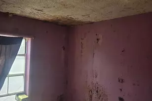 2105 Seward Ave, Bronx, NY 10473 - Photo 2