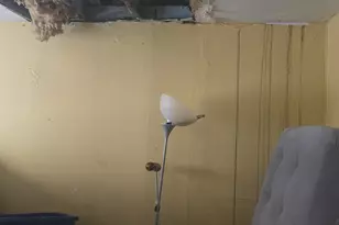 2105 Seward Ave, Bronx, NY 10473 - Photo 8