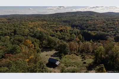 363 Beaverkill Road, Olivebridge, NY 12461 - Photo 24