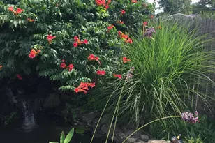 35 W 13th St, Deer Park, NY 11729 - Photo 34