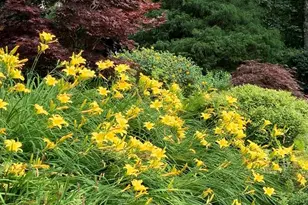 54 Cross Pond Rd, Pound Ridge, NY 10576 - Photo 42