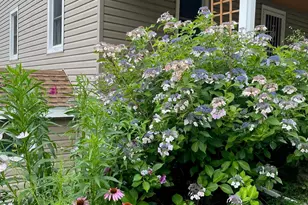 12 Anita Ct, Kingston, NY 12401 - Photo 2