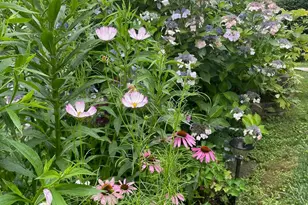 12 Anita Ct, Kingston, NY 12401 - Photo 26