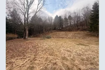 461 Back Shandelee Road, Livingston Manor, NY 12758 - Photo 4