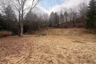 461 Back Shandelee Rd, Livingston Manor, NY 12758 - Photo 4