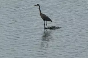 3 Lakeside Rd, Mahopac, NY 10541 - Photo 50