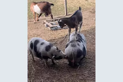 315 Bellvale Lakes Road, Warwick, NY 10990 - Photo 44