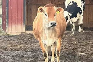 315 Bellvale Lakes Rd, Warwick, NY 10990 - Photo 46